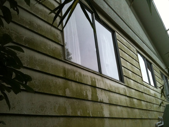 professional cladding cleaning makes light work of dirty cladding