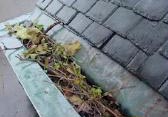 blocked gutter